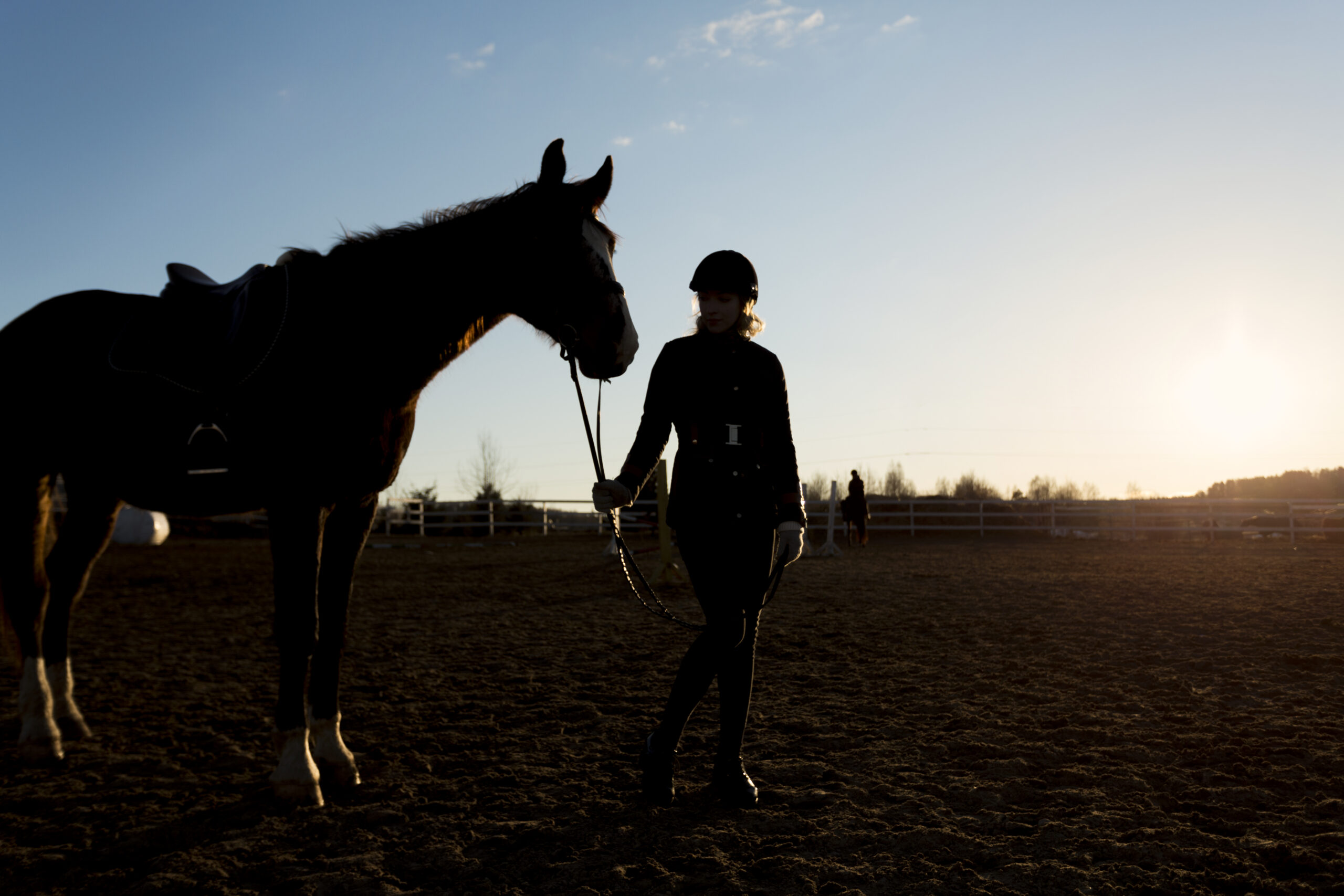 Cheval Contre jour