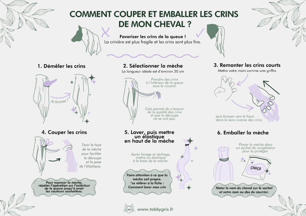 Tuto bijou en crin : ce qu'il faut couper pour réaliser un bracelet en crins. Nous vous expliquons sur ce visuel où couper les crins de votre cheval, comment rassembler une mèche suffisamment grande et nous envoyer les crins de votre cheval pour en faire un bijou en crins sur mesure et personnalisé.